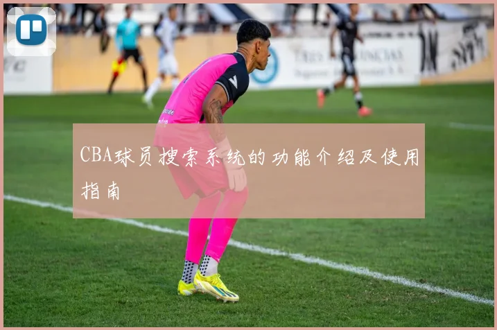 CBA球员搜索系统的功能介绍及使用指南