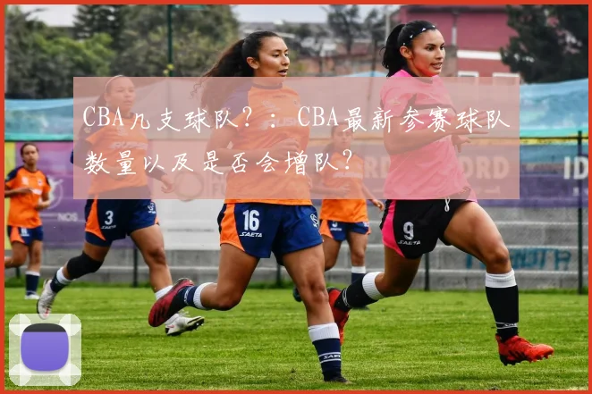 CBA几支球队？：CBA最新参赛球队数量以及是否会增队？