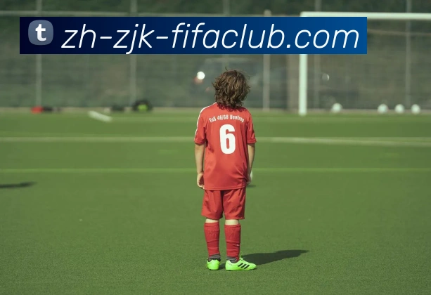 世界杯买球APP 封面图