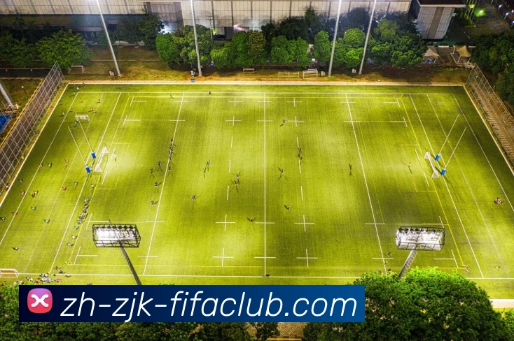 数据防护可视化